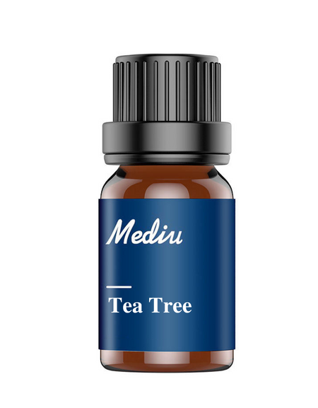 茶樹精油 Melaleuca Alternifolia Aroma Oil
